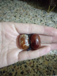 اكسسوارات • قديمات • المشتل