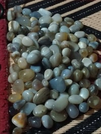 اريد اسامي • موجود