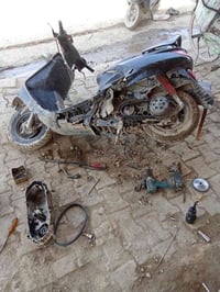 تجيفيت ماكس • فراشه • اصلي