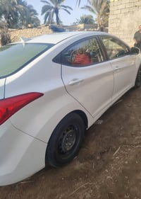النترا • وارد امريكي • ١٨٠٠