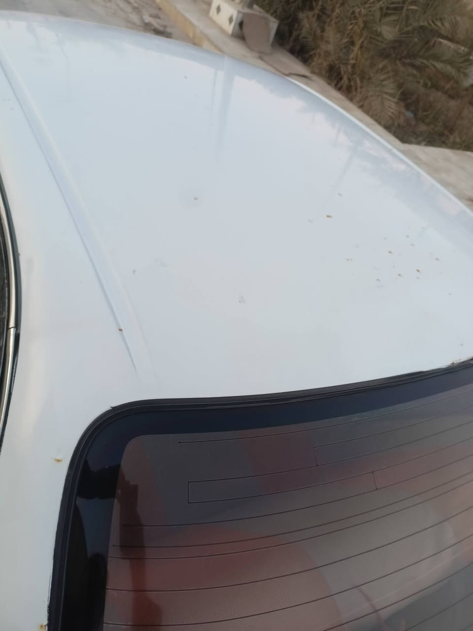 سلام عليكم كورلا للبيع 
حداديه تخم تاير كهربائيات تبريد 
 مكفولة من العيب شرعي نقل جثه اصوليات 
 رقم بصره سنويه 27
السعر 43 وبيها مجال 
مكان ناصريه قضاء الاصلاح ***********
