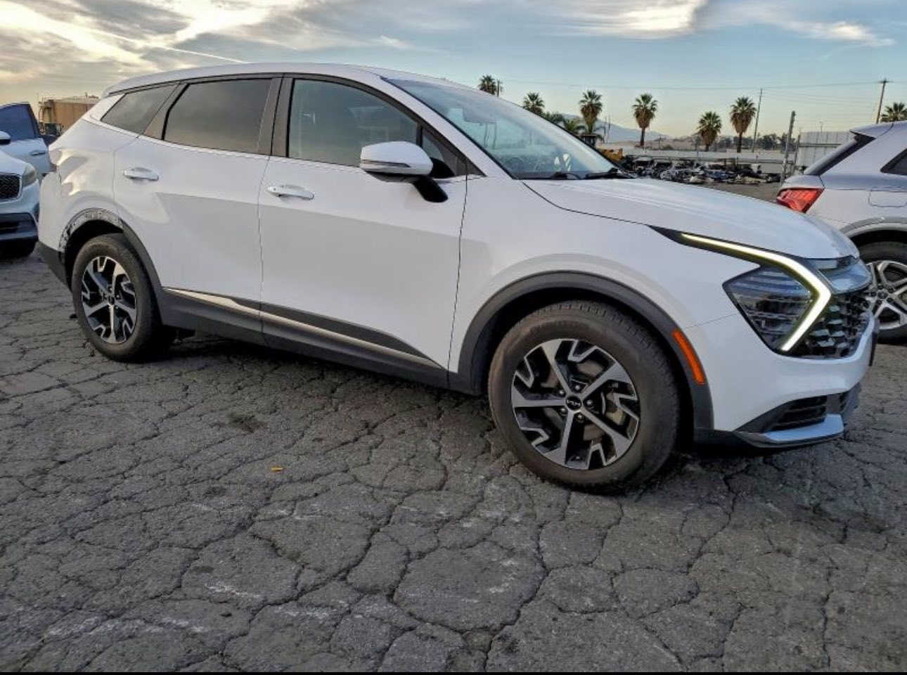 كيا سبورتج EX
موديل 2024
مزادها : 5/1/2026
للاستفسار : ***********
