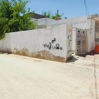 النجف • ٢٥٠م زراعي • سند ٢٥