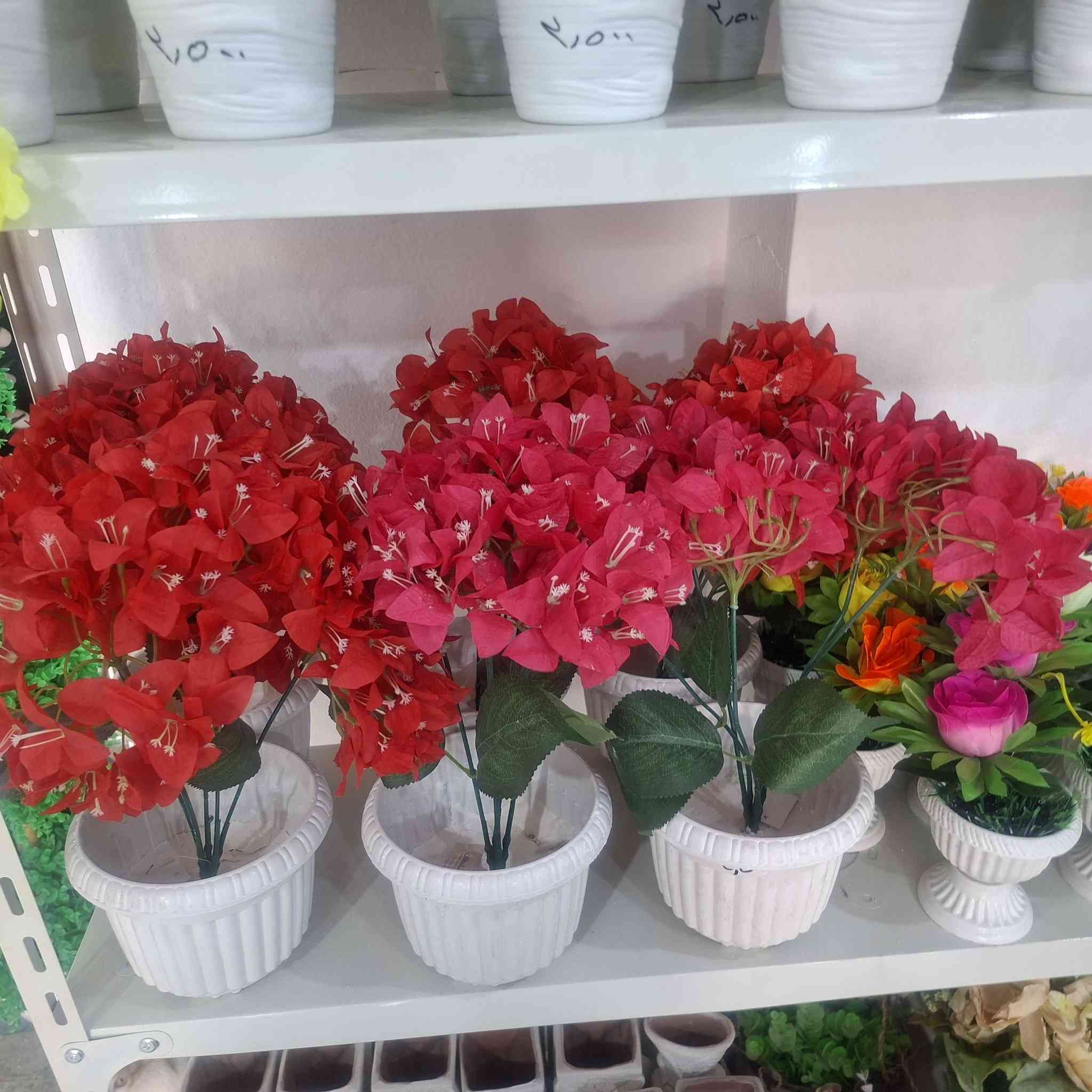 صباحكم ورد وياسمين،،،
وفرنالكم تشكيلة ورد باشكال زاهية،،،،
باسعار مناسبة وتخفيضات لعيونكم،،،،
اكيد من مجمع ميرسال قاهر الاسعار لا تحتار،،،،
زورونا نجدون ما يسركم،،،
حي الشرطة قرب دائرة الجوازات والجنسية،،،،
***********
***********

