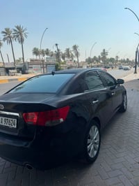 سيراتو • ٢٠١١ • رقم سليمانية