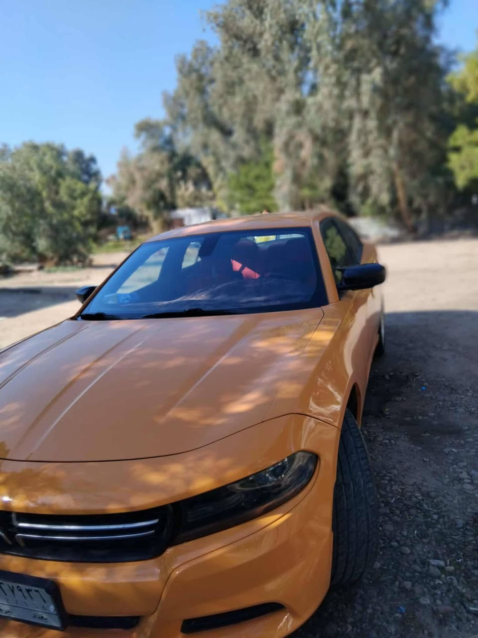 جارجر مَديل 2016 مرمز 2018 للبيع او مراوس
رقم بغداد تتحول جميع المحافظات

الـــــــــــــسعر : الرد تلقائي 📩

تكسي ضرره جاملغات خلفية
وباب معمره بس

محرك كير مكفولات
اي نقص مابية
رقم الماني مشروع وطني

مكان السيارة بغداد
رقم صاحب سيارة: *********** واتساب

لعرض سيارتك على الصفحة بنفس الطريقة راسلنا
