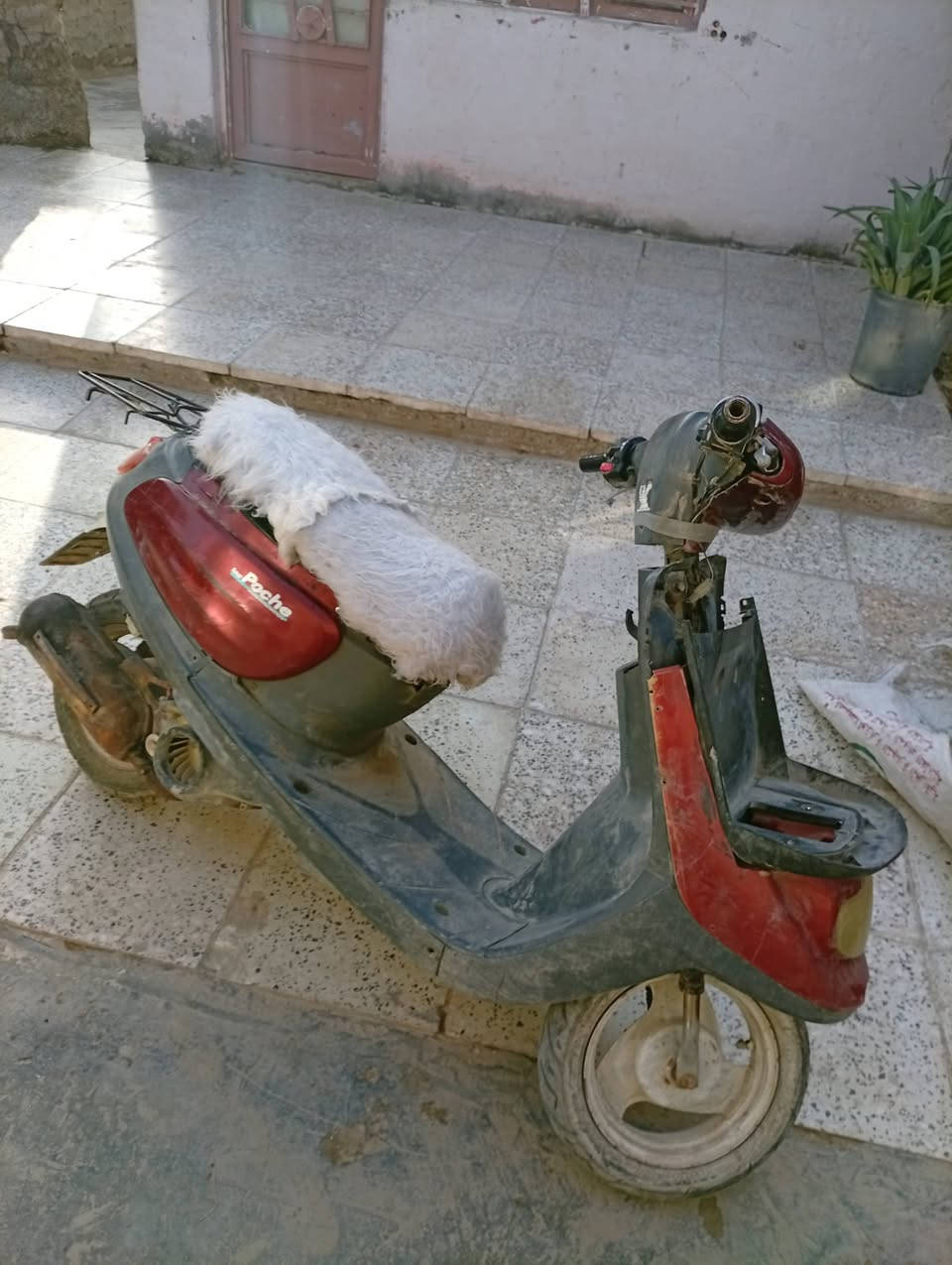 سلام عليكم دراجه ام سله كهربائيات كلها شغاله بس باتري نقص وتريد ترتيب سعر 150وبيهاا مجال قليل مكان مسيب طريق ابو جاسم (ع)***********

