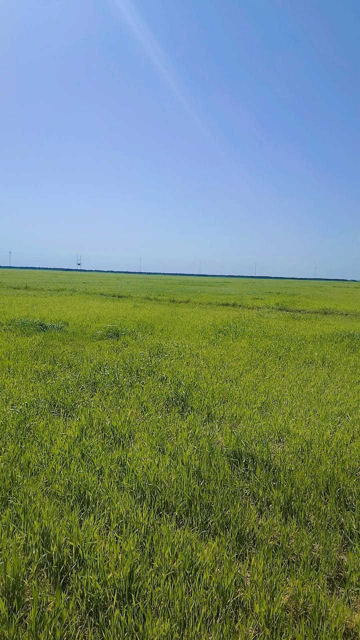 السلام عليكم كاع  60   دونم شروه للبيع مكان شارع أبو الماش ***********
