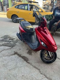 فراشه فحل • نضيفه • دسك رياضي