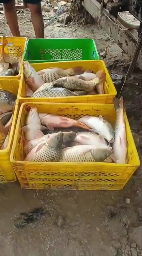 سلام عليكم اخوتنه اهل الورديه 
مستعدين تجهيز جميع المنسبات 
شوي سمك 2000دينار 
شوي 🐓دجاج 2000دينار 

موقعنه مقابل معمل ابو كيره 
هل المناسبات تخفيض بل سعر 
***********
