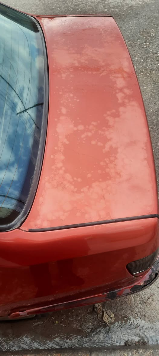 بيجو ٣٠٦ موديل ٢٠٠٣ بأسمي سنوية لي نهاية ٢٠٢٧
بدون ضرر بدون صبغ فقط بوند مبدل أثر شضيا كير محرك شرط وبيها غراض احتياط وياها
سعر 42$ مجال بسيط
***********
