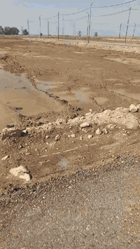 ♦️للبيع
♦️عرصه زراعي 
♦️المساحة 200م 
♦️السعر 8 ونص 
♦️الواجهة 10م *20م النزال 
♦️سند 25 مداور مباشر بإسم المشتري 
♦️الموقع داخل مجمع الربيع السكني
♦️خدمات كامله متوفره 

✳️للاستفسار  مراسله الصفحه أو الاتصال 📞 
***********
