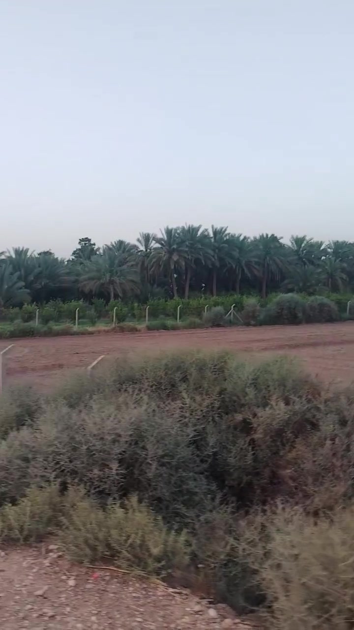 السلام عليكم يعلن مكتب الكوخ للعقار عن بيع 12 دونم طابو زراعي تحويل مباشر باقي التفاصيل داخل الفيديو
الواجها على الشط 55 تقريبا
سعر الدونم الواحد 100 قابل للتفاوض للإستفسار مراجعة مكتب الكوخ او الاتصال على الأرقام التاليه
***********
***********

