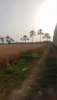 ٢٨فدان • عالطريق الزراعي • فيلا واستراحة