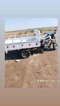 ستوته • اوراق • ٢٠١٨