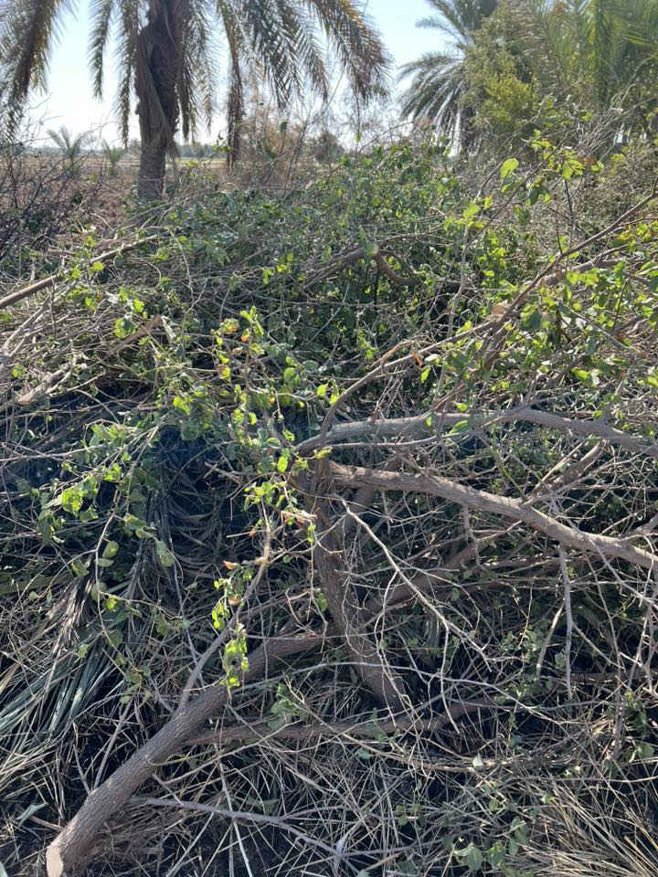 حطب سدر وزيتون للبيع
مكان سماوه سوير
***********
