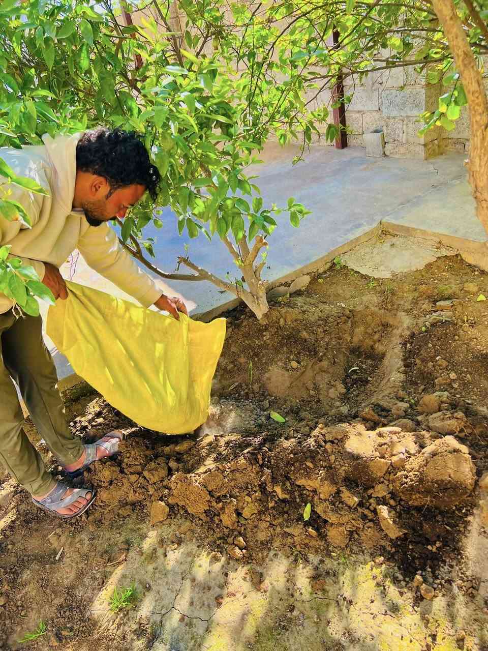 ⛔️متفرق حاليا ⛔️يوجد كادر فرش زميج زراعة حدائق تغليم اشجار  تزكي بساتين وتخليلهن درج مثل ما واضح بلصور تصل وتدلل ***********
