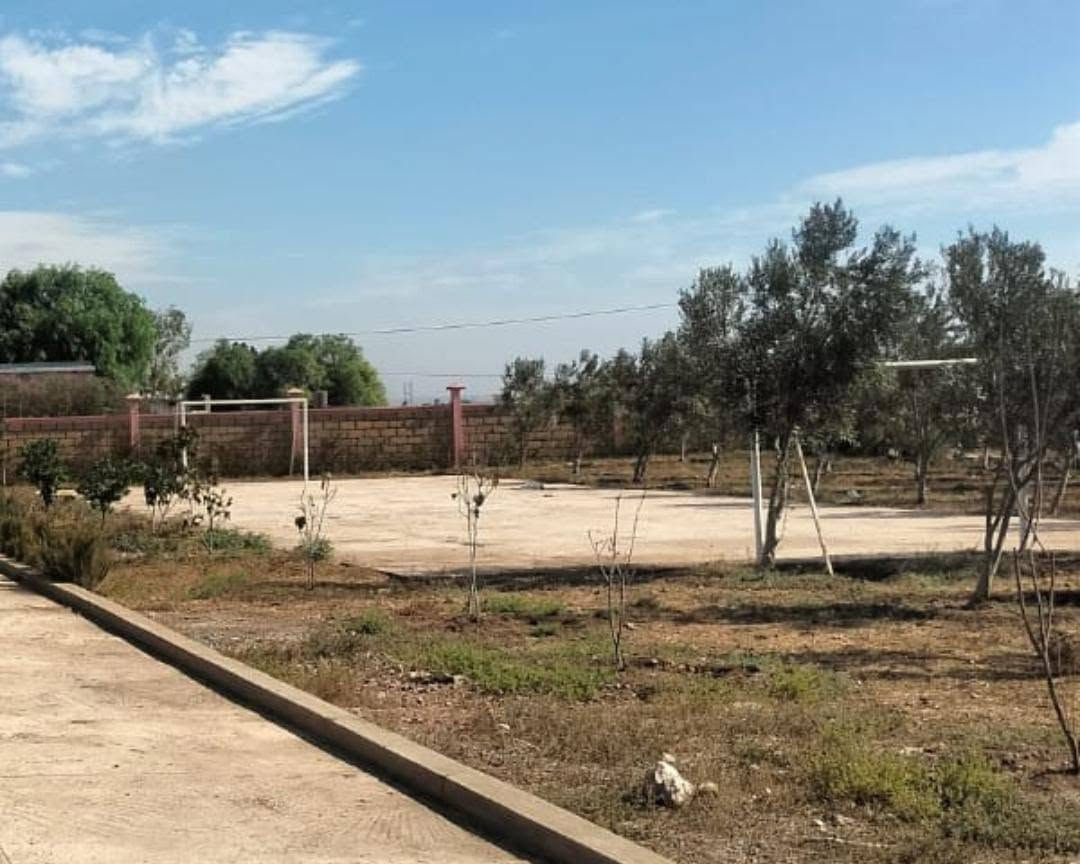 🌿🏡 فرصة استثمارية نادرة للبيع نواحي برشيد – طريق الربيع 🏡🌿

💎 إذا كنت تبحث عن الهدوء، الطبيعة، والاستثمار المضمون، فهذه فرصة لا تتكرر!

📍 الموقع: نواحي برشيد – طريق الربيع
📏 المساحة: 1 هكتار و600 متر مربع
📜 الوضعية القانونية: محفظة 100% (Titre Foncier)

✨ مميزات العقار:
✅ أرض مسيجة بالكامل
✅ سكن للعساس 🏠
✅ هنكار صغير 🚜
✅ شاطو (Château d'eau) 💧
✅ أشجار زيتون مثمرة 🌳🫒
✅ بئر ماء صالح للاستعمال 💦
✅ تبعد فقط 500 متر عن الطريق المعبدة (Route goudronnée) 🛣️
✅ على بعد 10 كلم فقط من مدينة برشيد 📍
✅ منطقة هادئة وآمنة ومناسبة للسكن أو الاستثمار الفلاحي 🌿

💰 الثمن: 180مليون سنتيم فقط
🤝 قابل للنقاش للجادين

🔥 مناسبة لإنجاز فيرمة، مشروع فلاحي، استراحة عائلية أو استثمار طويل الأمد.

📞 للمزيد من المعلومات أو لتحديد موعد للزيارة، المرجو التواصل معنا. 0619241773 الدروة, برشيد


**إذا كنت صاحب هذا الإعلان وتريد حذفه لأي سبب، رجاءا أرسل رسالة إلى الدعم الفني**