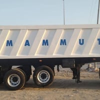 البيع نساف ماموت 2021 3دناكير الثالث تعليك دناكير 14  حداده واحد على و...