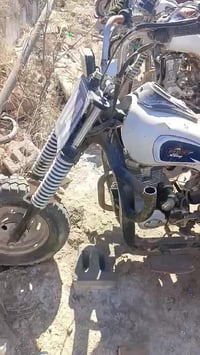 ستوته ١٤ بل • أوراق كاملة • مركز الفداء