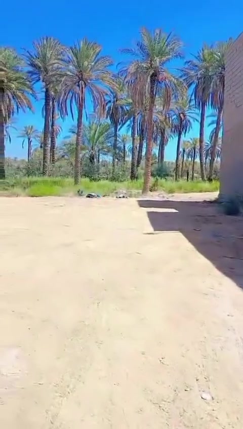 السلام عليكم
قطعه أرض للبيع مساحه 352 زراعي سند 25
نزال 27 وواجهه 13
كافه الخدمات
ماء +مجاري + كهرباء + مدارس
العنوان
 السياحي عمود 351 طريق ياحسين
تبعد عن طريق الزوار 250 متر
للاستفسار علئ الرقم او عل الخاص
***********

