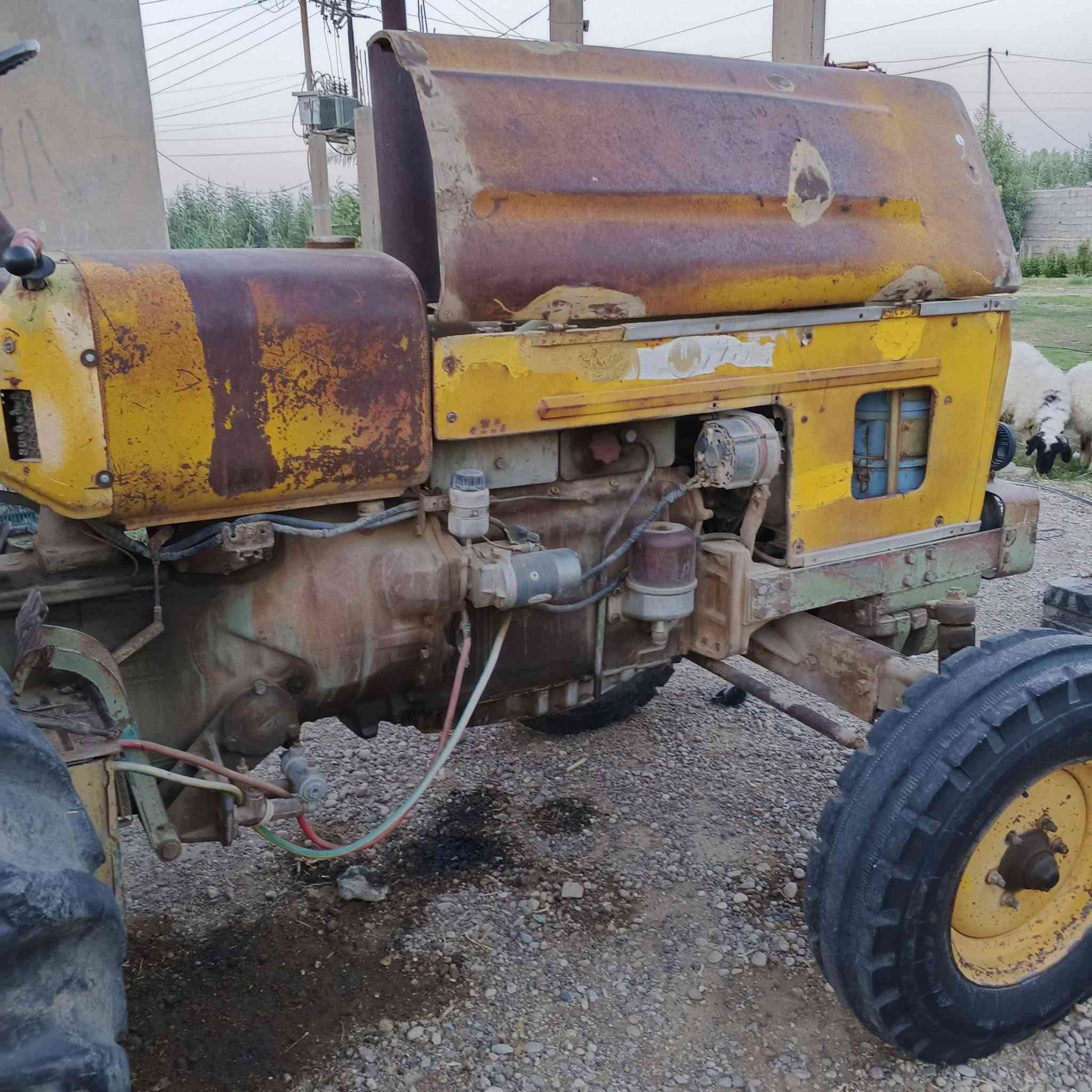 سلام عليكم مكينه 89 صفرة بلادية للبيع كير محرك وهيدروليك خير من الله مكان بغداد التاجي للاستفسار الاتصال ***********// ‏‪***********‬‏
