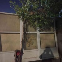 جامخانه • الانبار الرمادي • واتساب