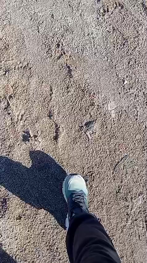 السلام عليكم قطعه ارض للبيع مساحه 250 متر ورا مستشفى الكفيل بسعر جدا مناسب الاتصال على الواتساب ***********
