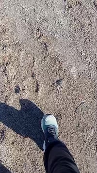 أرض للبيع • ٢٥٠م • ورا مستشفى الكفيل