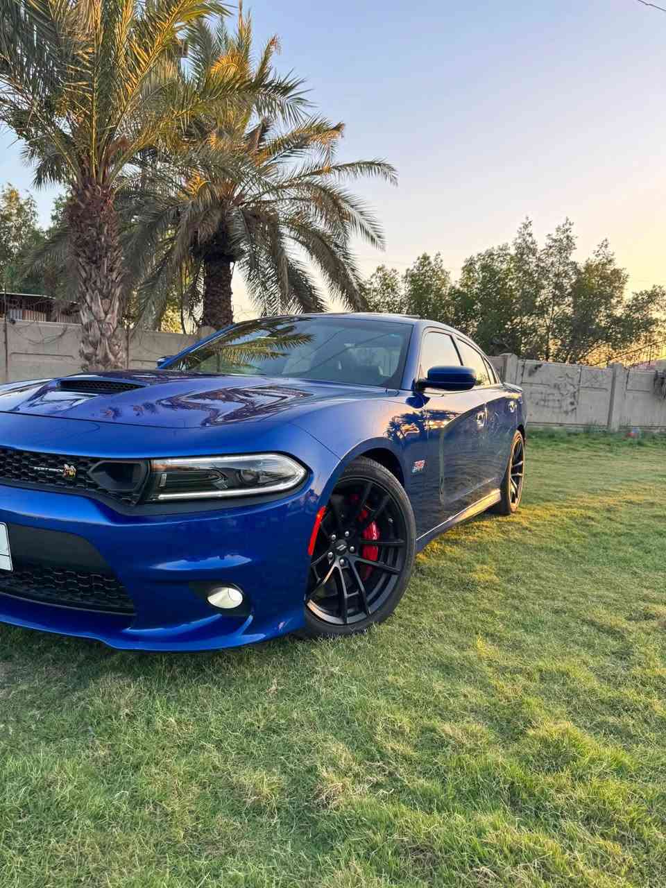 🔥 للبيع | 2022 Dodge Charger Scat Pack 392 (SRT) 🇺🇸🔥

🐝 وارد أمريكي
💥 محرك 6.4L HEMI V8 (392)
⚡️ قوة 485 حصان
⚙️ جير أوتوماتيك 8 سرعات
🏁 دفع خلفي (RWD)

🔹 المواصفات:
✅ فتحة بانوراما
✅ كشنات جلد رياضية
✅ تدفئة وتبريد للمقاعد الأمامية
✅ تدفئة للمقود
✅ بصمة تشغيل + دخول ذكي
✅ تشغيل عن بُعد (Remote Start)
✅ شاشة Uconnect كبيرة
✅ Apple CarPlay & Android Auto
✅ كاميرا خلفية
✅ حساسات أمامية وخلفية
✅ نقطة عمياء (Blind Spot)
✅ تنبيه حركة خلفية (Rear Cross Path)
✅ بريكات Brembo الأصلية
✅ رنكات رياضية 20 إنج
✅ نظام Launch Control
✅ نظام Line Lock
✅ أوضاع قيادة (Auto / Sport / Track / Custom)
✅ SRT Performance Pages
✅ عادم رياضي Active Exhaust
✅ مثبت سرعة
✅ إضاءة LED كاملة

🔥 سيارة تجمع بين القوة والفخامة، أداء SRT الحقيقي وصوت HEMI الأسطوري.
📍نظيفة وجاهزة للاستخدام، ما تحتاج أي مصروف. سعر 300ورقه $تصال ***********

