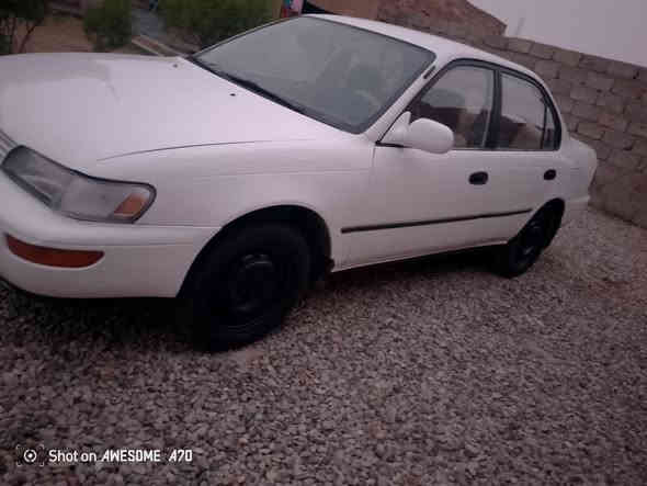 كورله ايسر ابلاد رقم بغداد  جاهزه من الاخير مصبوغه عام جماليه السعر ٥٩ وبي مجال  *********** ارجو عدم الاتصال بعد الساعه العاشره ليلا مكلف بلنشر خابر صاحب الرقم
