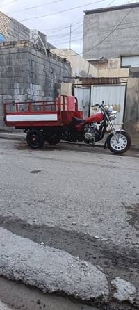 ستوته • موديل ١٥ • اوراق اصولي