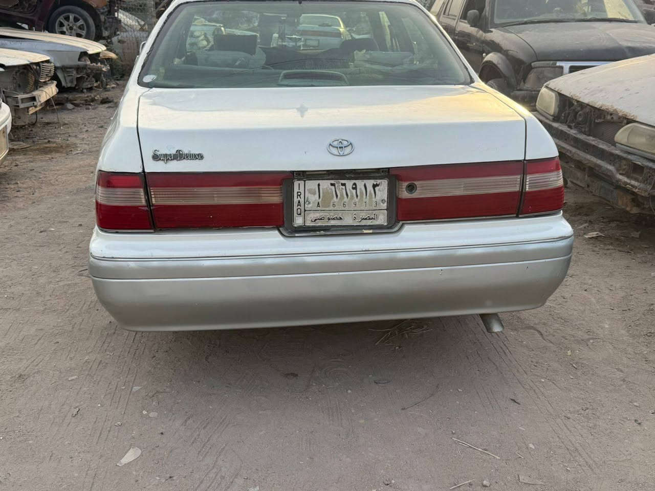 سلام وعليكم راس ثور نقل جثه كص مكينه وكير كارتون  شراي  يتصل مكان بصره  45.      ***********
