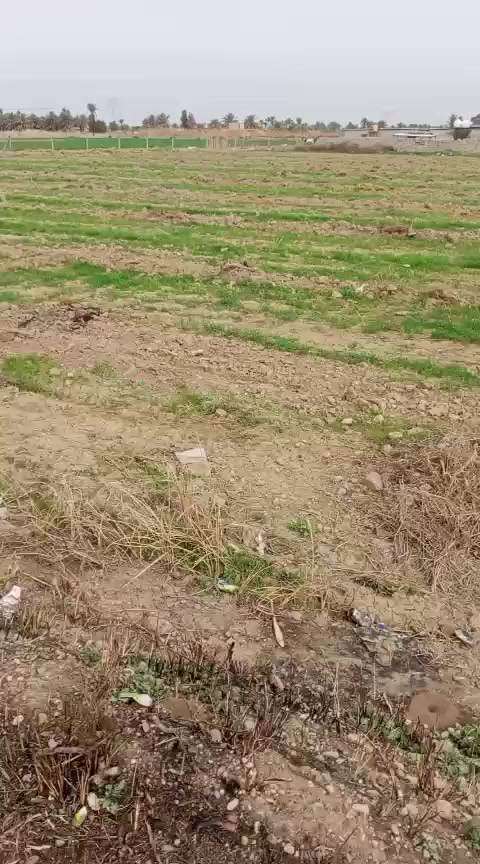 دونمين مربعه سند 25 زراعي باسم شخص واحد خدمات كامله منطقه الرضوانيه قرب المستوصف للاستفسار على الرقم ***********
