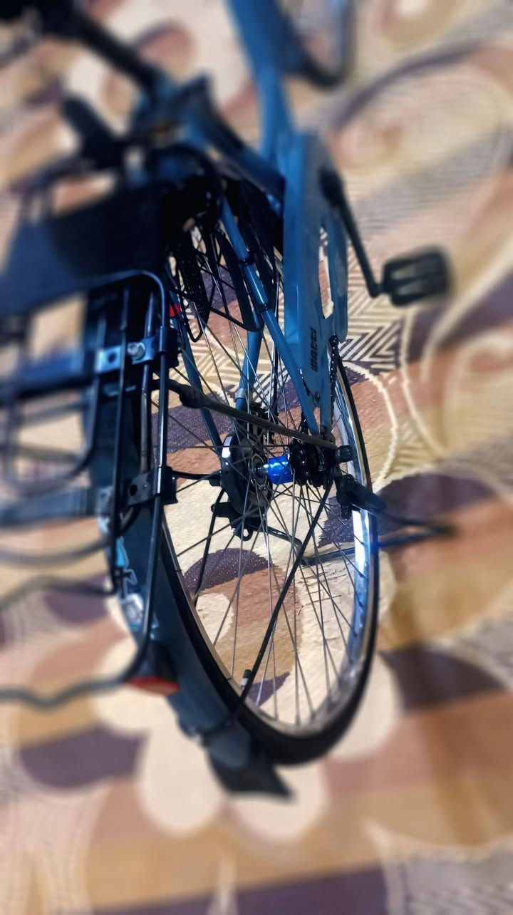 باسكل بناتي حجم 26 ياباني لونه نفطي
سعر الباسكل 130 الف وبي مجال للشراي 
او مراوس ابيسكل جبلي نضيف مكاني ميسان قلعه صالح... 🖤🌿


**إذا كنت صاحب هذا الإعلان وتريد حذفه لأي سبب، رجاءا أرسل رسالة إلى الدعم الفني**