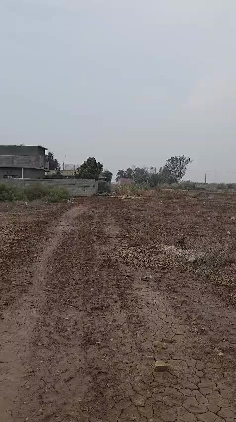 السلام عليكم ورحمته الله وبركاته 👋

توفرت دوانم ملك صرف👉 العنوان واسط العزيزيه مقابيل نزلت عويد العبعوب (7 دوانم ونص) تبعد عن شارع العام (800 متر )

العقار طابو صرف حصرآ 💖💫 باسمك سند خدمات كامله كهرباء ماء 🚦 صالح لشرب تبليط واصل لباب 😍❤️‍🔥💗كل لي عليكم اتصال تفاصيل كامله وتساب او 

***********👉اتصال

مكلف بنشر
