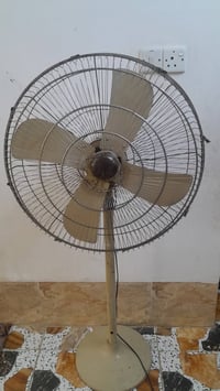 باكستاني • حجم كبير • بدون ملف