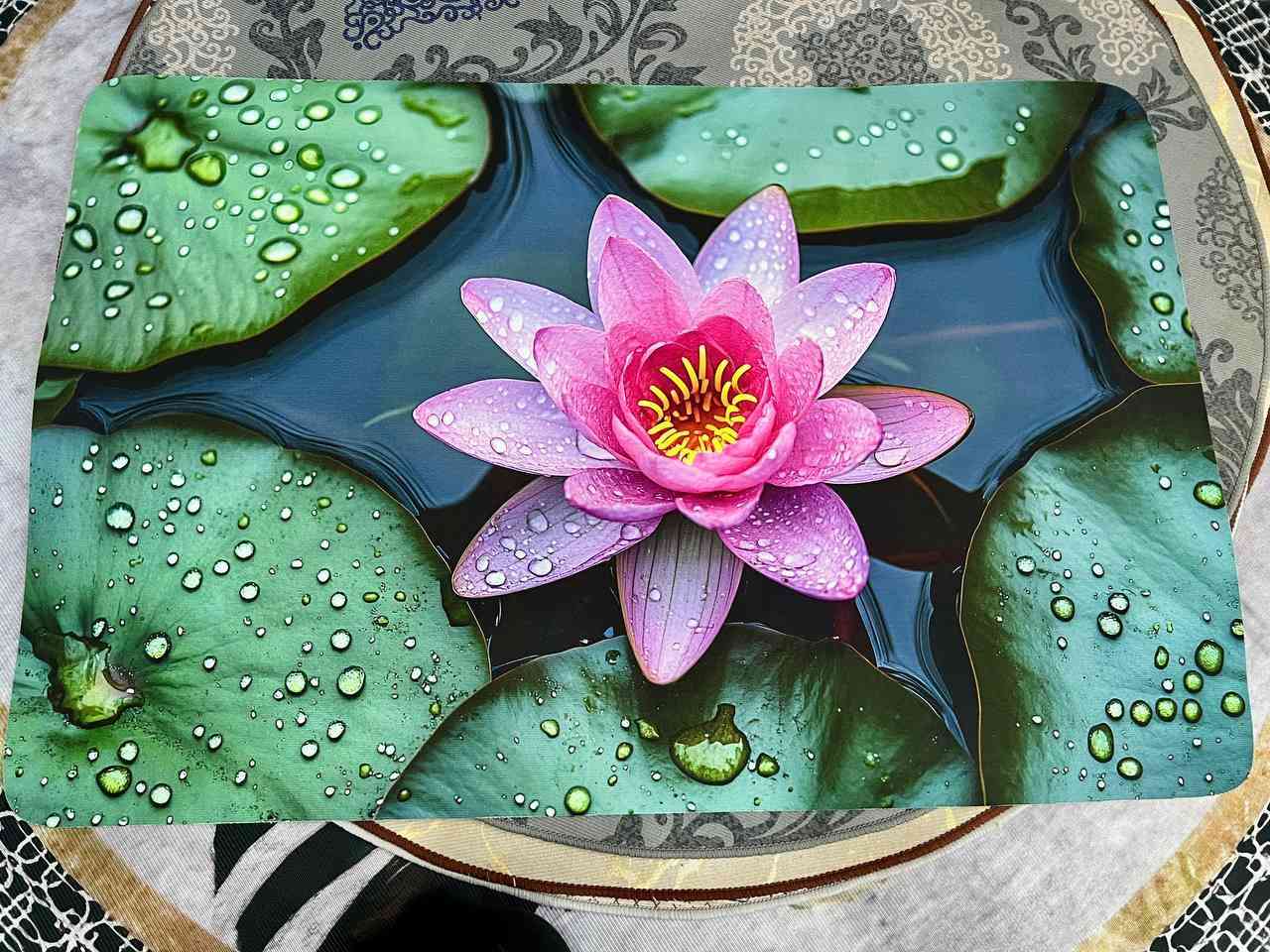 توفرت دواسه جلد وتر بروف اصلي متعبر مي 🙋🏻‍♀

طول 90 سم عرض 60 سم السعر 4 الاف 🔥 🚗🚕


**إذا كنت صاحب هذا الإعلان وتريد حذفه لأي سبب، رجاءا أرسل رسالة إلى الدعم الفني**