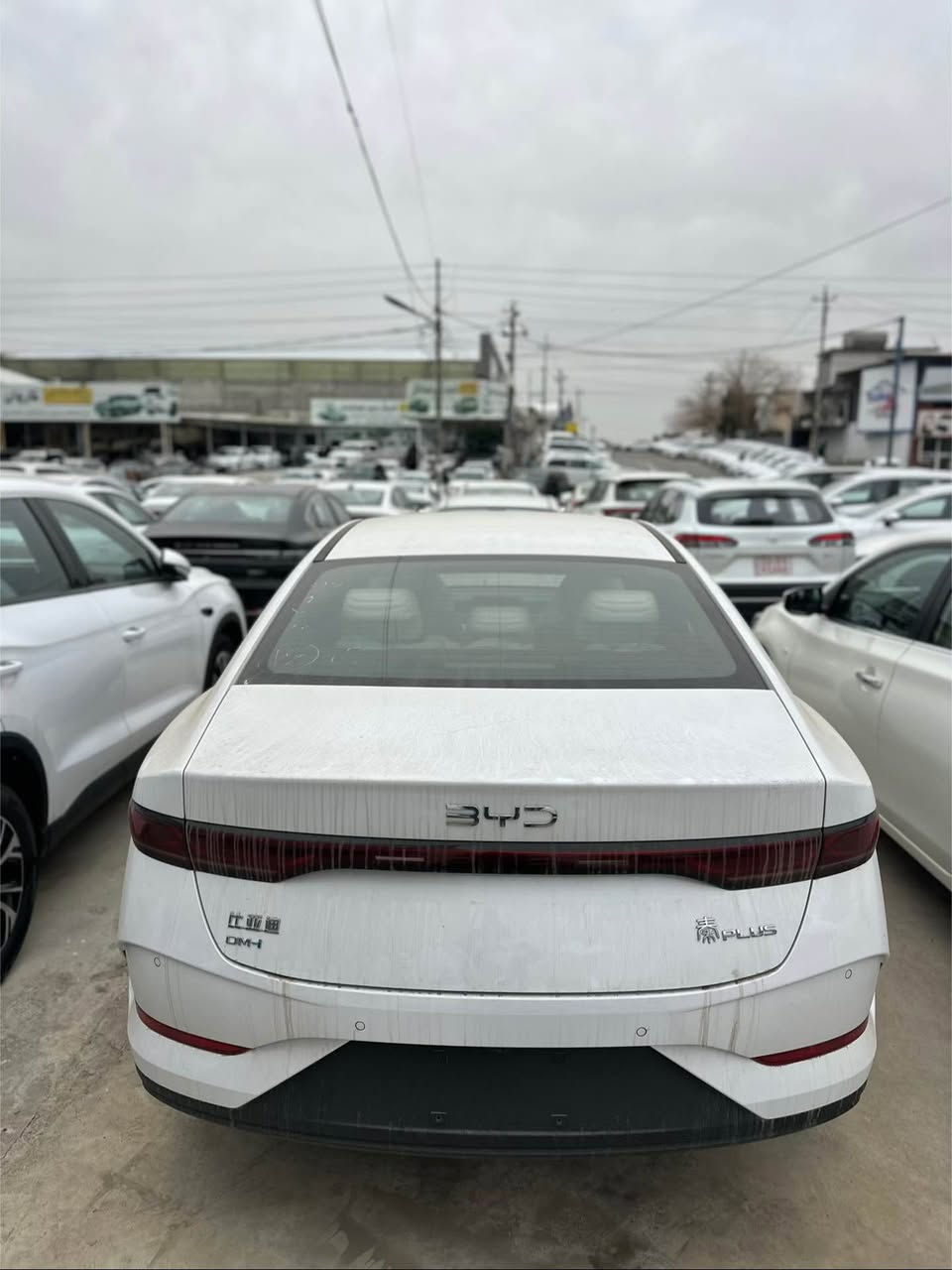 ✨✨✨سڵاو لە هەموو ئازیزانی چۆمانی حاجی فایەق ✨✨✨

***********

دەتەوێ سەیارەی دڵخوازت بکڕیت ؟ ✅
بە هەرزانترین نرخ و بێ هیچ زیادەیەک ؟ 🈯️✅
لای ئێمە بەردەستە هەموو جۆرە ئێمجییەک بە هەرزانترین نرخ لە تەواوی بازاڕی ئۆتۆمبێلدا 🤍😍

ناوی کۆمپانیا : بی وای دی 
جۆری ئۆتۆمبێل : چین پڵەس
جۆری سلندەر : ١٥ و هایبێرد و کارەبای تەواو ( پاتری گەورە )
ساڵی بەرهەمهاتوو : 2025
کیلۆمەتری ڕۆشتوو : سفر کیلۆمەتر
ڕەنگی ئۆتۆمبێل : سپی سەدەف
مواسەفات : ( سێ مۆد لێخوڕین ( کارەبا + کارەباو بەنزین + بەنزین- شاشە ئەلیکترۆنی - کوشن جلد - کامێرا و حاسە - ناو بێجی  - برێک کارەبایی - ئۆتۆ هۆڵد - شاشە دیجیتاڵ - دیاریکردنی خێرایی - سوکان ڤۆلیۆم - گێڕ سپۆڕت - ئیکۆنۆمی - تایە و وویل ١٦ - ئاوێنە ئیشارەت - لایت لیدی پێش و دوا - لێزەری فول ( شەریکە ) .
مۆبایل : ***********
نرخ : هەرزانترین نرخ
ناونیشان : سلێمانی 

ژمارە کاتی ٢ مانگی لەگەڵە✅‼️

تێبینی بۆ کڕیارانی ئازیز : بە داوای لێبووردنەوە هیچ جۆرە مامەڵەیەکی قیستمان نییە ، زانیاری تەواو نووسراوە تکایە لە هەر جێگەیەک دەتەوێ سەرپشکن و بۆ مناقەشە تەلەفون مەکەن گەر کڕیارن السليمانية, العراق
