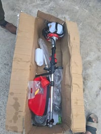 حاشوشه • بالكارتون