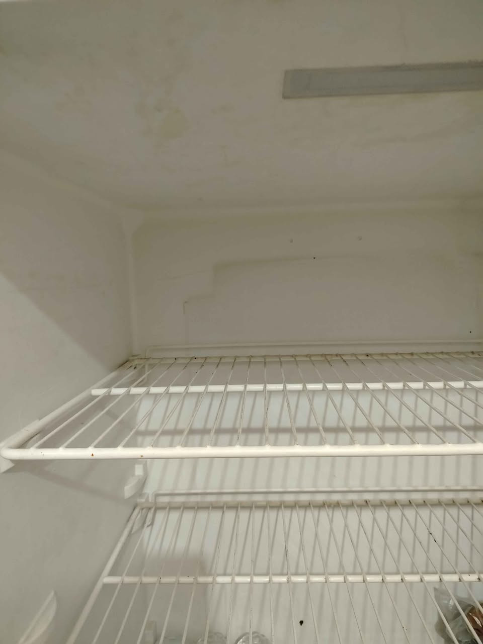 ثلاجة للبيع.. لون ابيض
نظيفة

شغالة... مكاني بغداد سبع ابكار قرب أفران جوهرة لبنان بغداد, العراق


**إذا كنت صاحب هذا الإعلان وتريد حذفه لأي سبب، رجاءا أرسل رسالة إلى الدعم الفني**