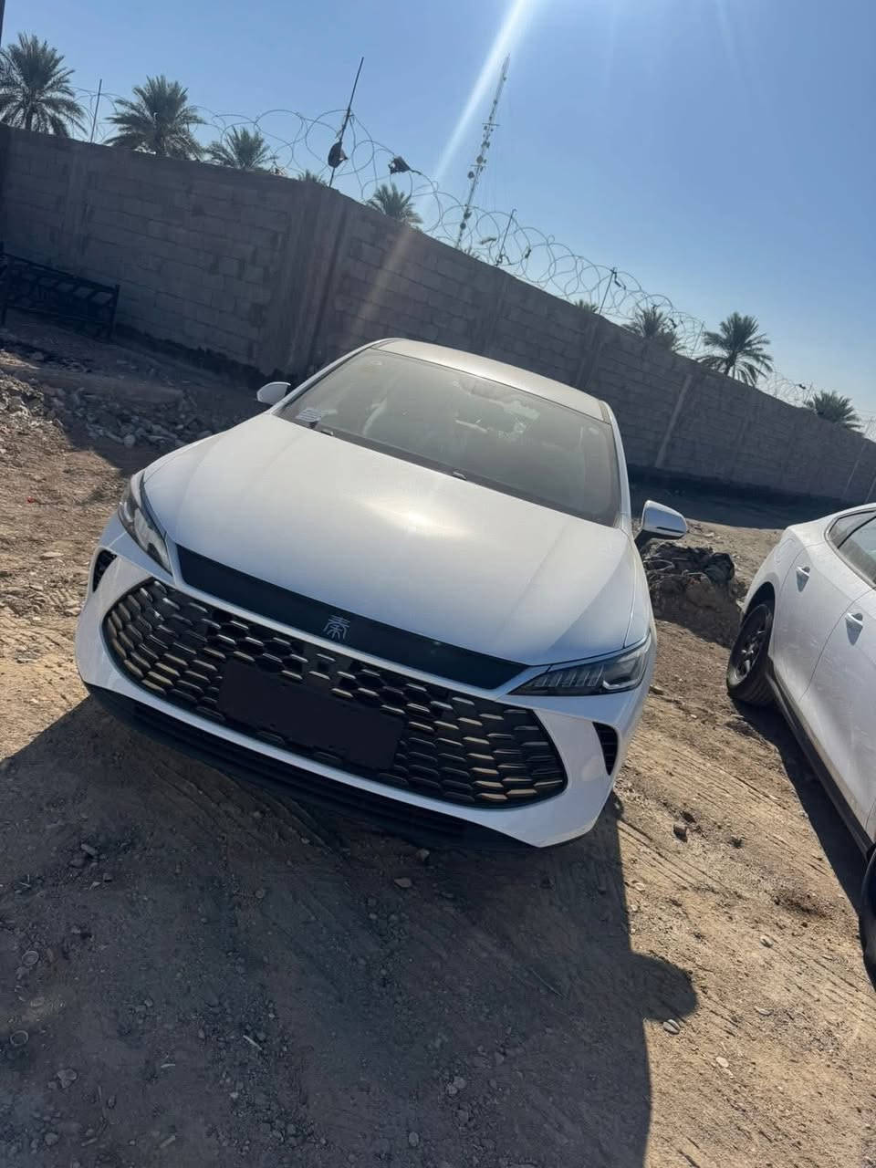 حياكم الله متابعين شركة بغداد المركزي وصل الجن بلاس داخل زيتوني وابيض
لدى شركة بغداد المركزي كميات خير من الله سارعو بالاتصال والحجز قطع محدوده 
☎️***********☎️
☎️***********☎️
