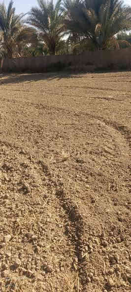 سلام عليكم قطعه ارض للبيع سند 25المساحه
500متر نزال 25واجهيه 20 السعر 27وبيه مكان كربلاء المقدسه طريق طوريج كربلاء تبعد عن شارع العام كلو ونص طريق اله علرابط تبعد عن التبليط 400متر خدامات كامله مي كهرباء 
مدارس مستوصف كله موحود الستفسار علرقم ***********
