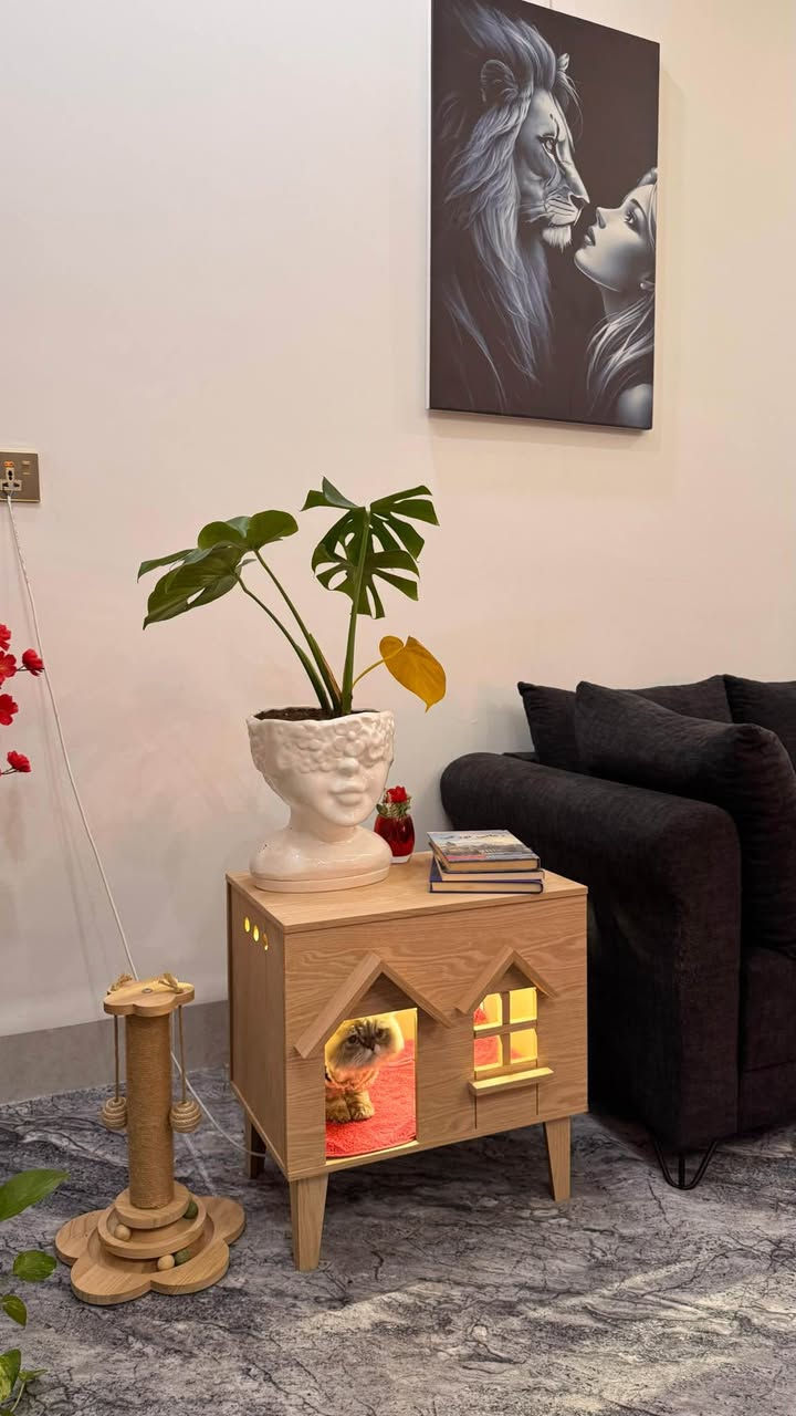 كۆمەدین و دیکۆر و شوێن پشیلە 
شتێکی تا بلێی جیاواز و دەگمەن
شوێن هەولێر گەیاندن هەیە
*********** واتساپ
بە تاک و کۆ بەردەستە
نرخ ٥٠،٠٠٠ أربيل, العراق
