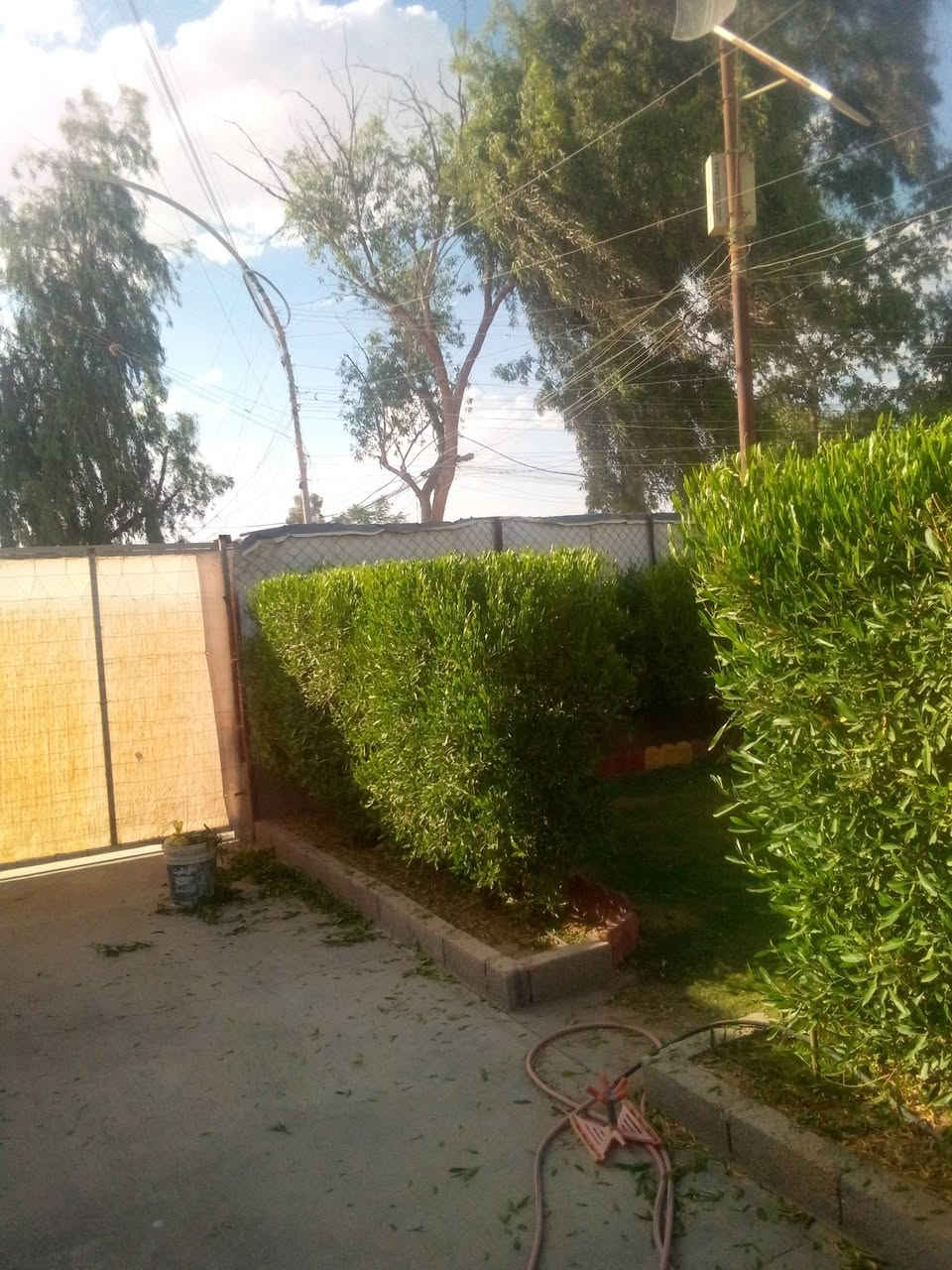 ⚜️قص الثيل والياس والديدونيا⚜️
📢يتوفر📢
🔴تقليم الياس والديدونيا بمنشار الكهرباء🔴
🔵قص الثيل🔵
للاستفسار🤷🏻‍♂️ اكثر ارسل📠 رسالة📨 الى Abd Almunam Alrawi  
او☎️ اتصل على الرقم📱 *********** 📞
