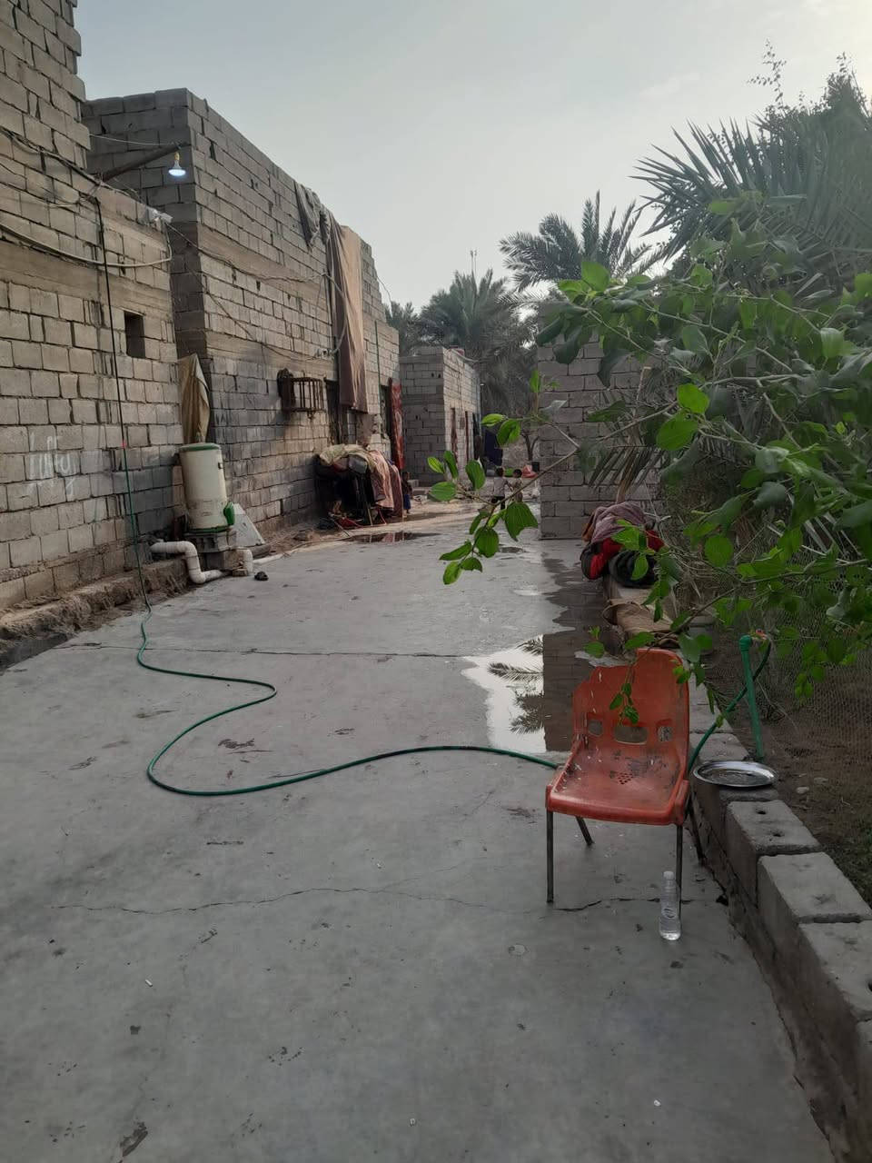 السلام عليكم 
بستان يحتوي عل 3 ابيوت للبيع طابو صرف مساحه 1665 في ابو الخصيب باب طويل  كل بيت مساحه 150م والبستان عل نهر ويحتوي 2 حديقه سعره 310  اي استفسار اتصال او واتساب *********** البصرة, العراق
