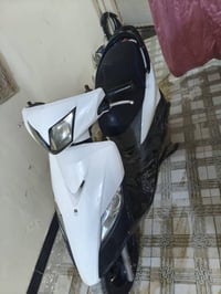 ماكس ثعلب • طلعة من الخانة • نجف