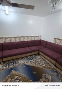 قنفات البيع العدد 6 قطع ثنين تعبانات وربع قطع قويات تخم كلش حلو ومرتب ...