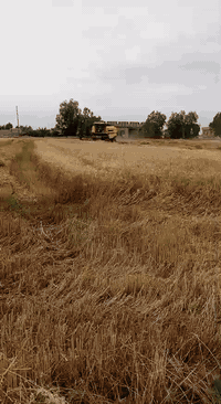 السلام عليكم حاصوده 2014 هيدرو 5 بلا متك درام للبيع ***********
