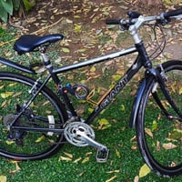 جاينت للبيع. نظيف جدآ.   مكينة شيمانو. ويل سكيب. تخم تاير  سرج طبي.  0...